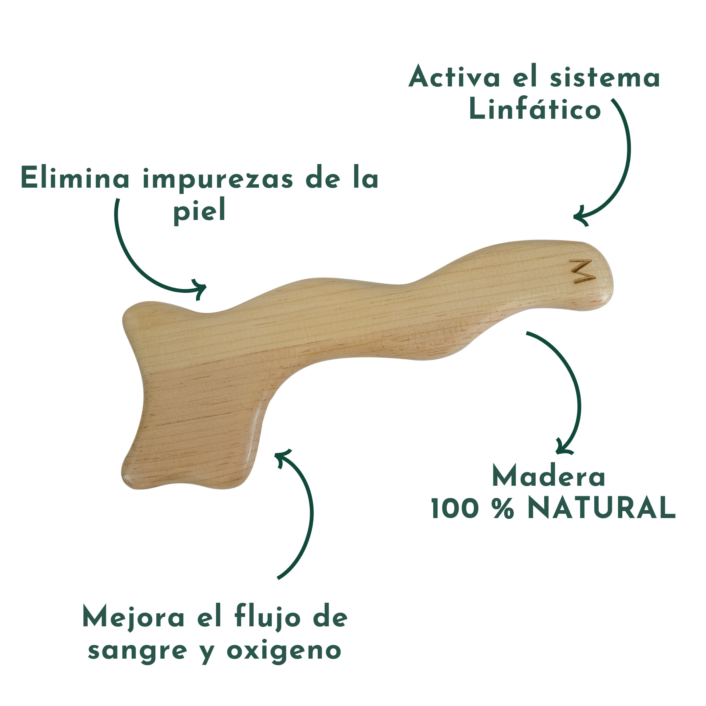 Pala Drenaje Linfático