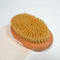 Dry Brush (Cepillo en seco)